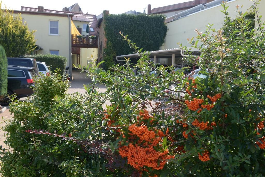 Hotel-Pension Mandy - Adults Only Senftenberg Exterior photo